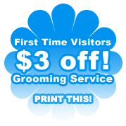 First Time Visitor $3.00 off grooming services!  PRINT THIS WEBSITE